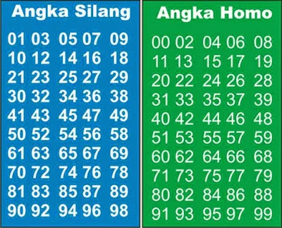 Angka yang Termasuk ke dalam Homo Togel Online